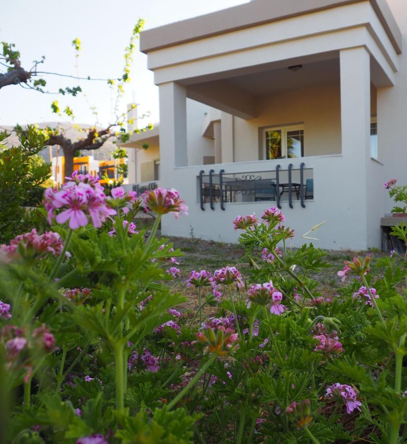 Olive House Villa มาเลีย ภายนอก รูปภาพ