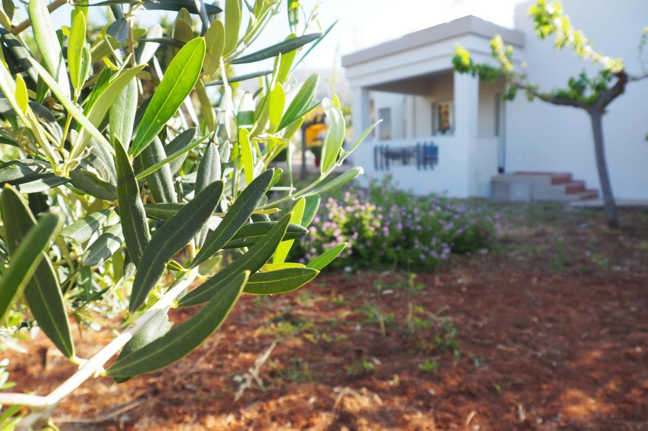 Olive House Villa มาเลีย ภายนอก รูปภาพ